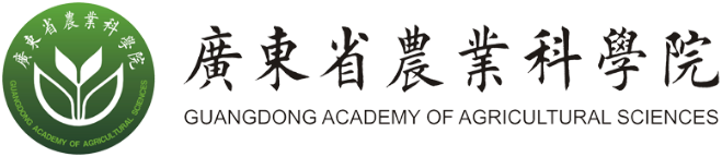 廣東省人民政府發展研究中心
